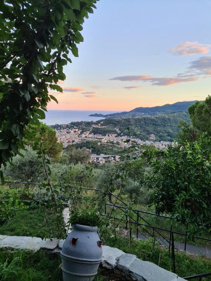 Vista Mare Portofino By Portofinovacanze Gravero Exteriör bild